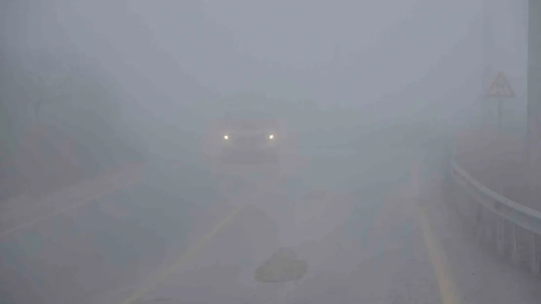 Kocaeli'ye sis çöktü: Göz gözü görmedi