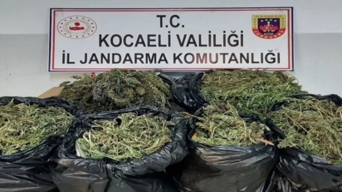 Kocaeli'de bir evde 25 kilo 685 gram esrar ele geçirildi