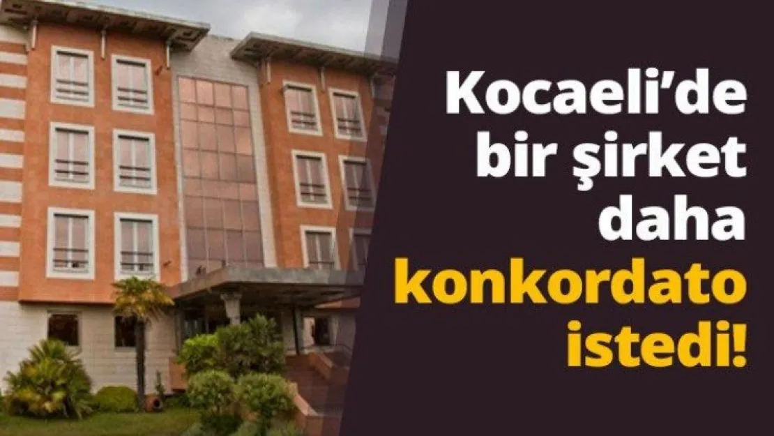 Kocaeli'de bir şirket daha konkordato istedi!