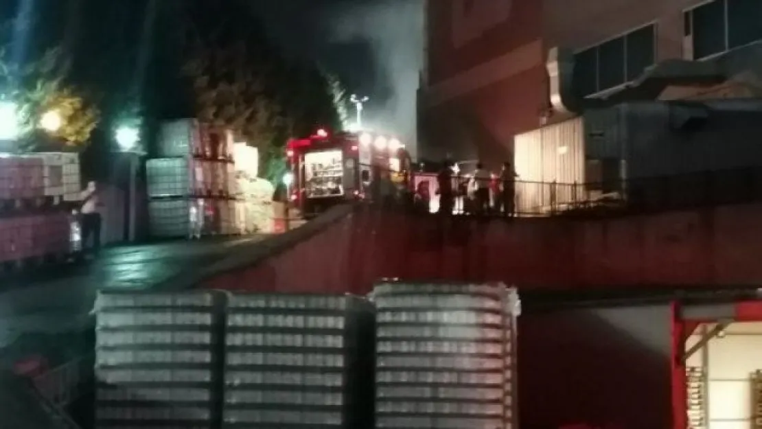 Kocaeli'de korkutan fabrika yangını, 4 kişi dumandan etkilendi