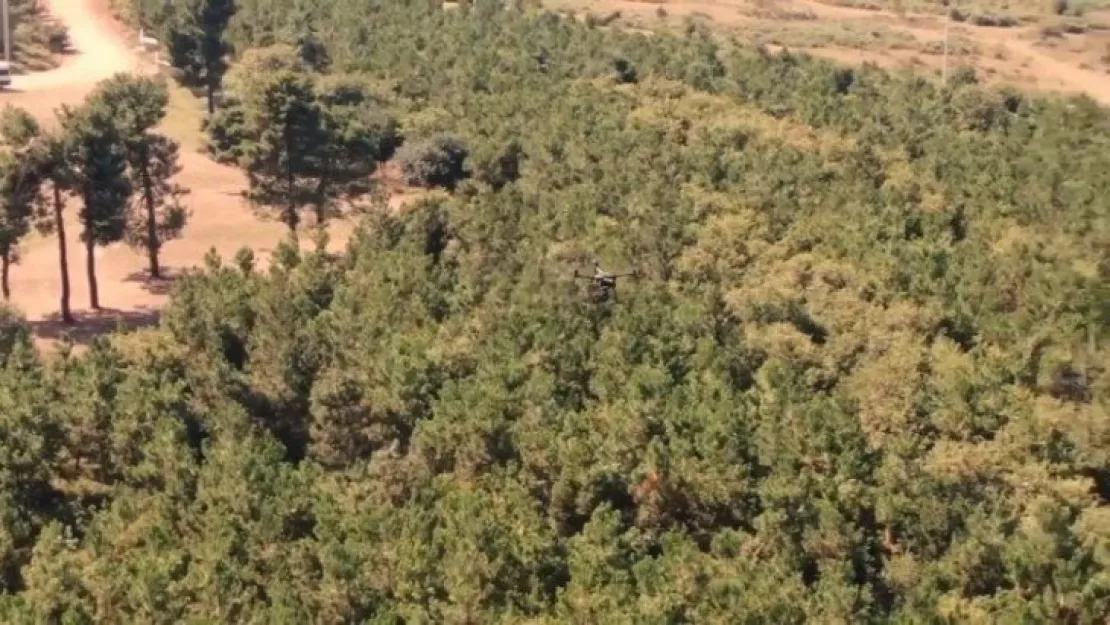 Kocaeli'de ormanlık alanlar drone ile denetleniyor