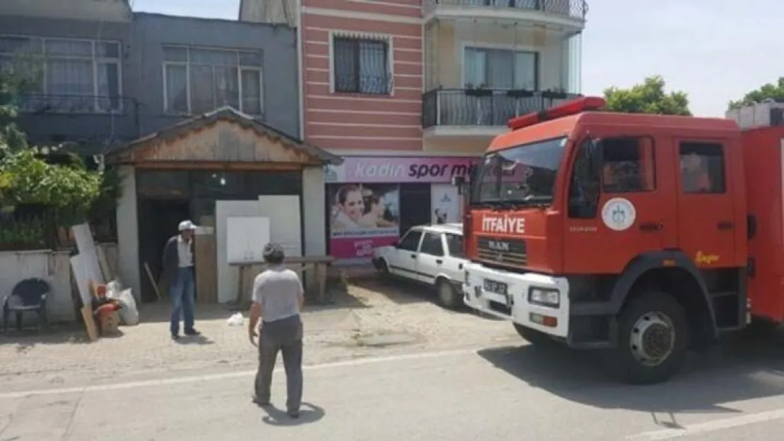 Kocaeli'de yılan paniği yaşandı