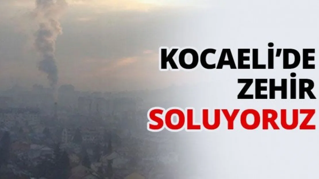 Kocaeli'de zehir soluyoruz