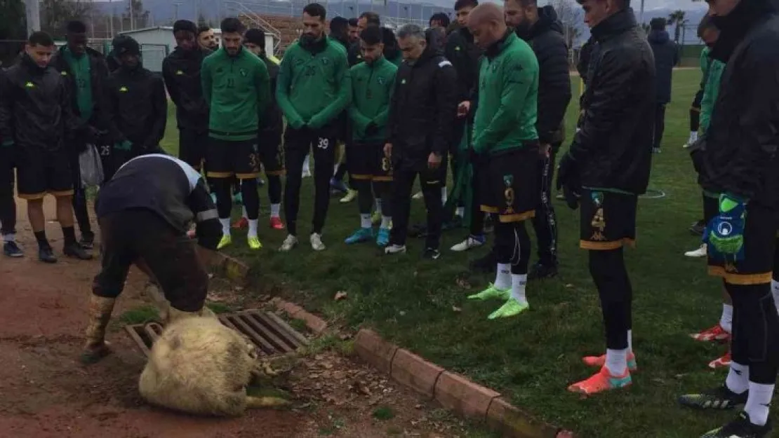 Kocaelispor'da antrenman öncesi adak adandı
