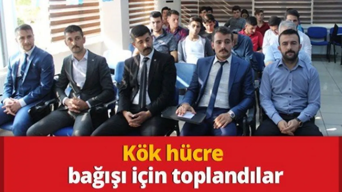 Kök hücre bağışı için toplandılar