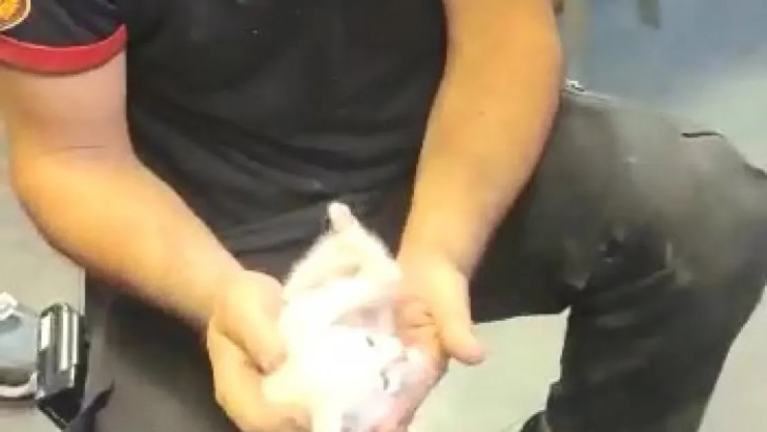 Kolonda sıkışan kedi kurtarıldı!