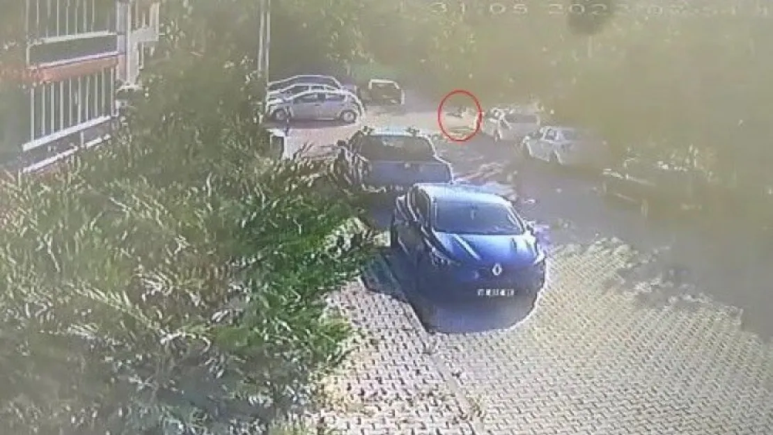 Köpeğe çarpıp yoluna devam etti