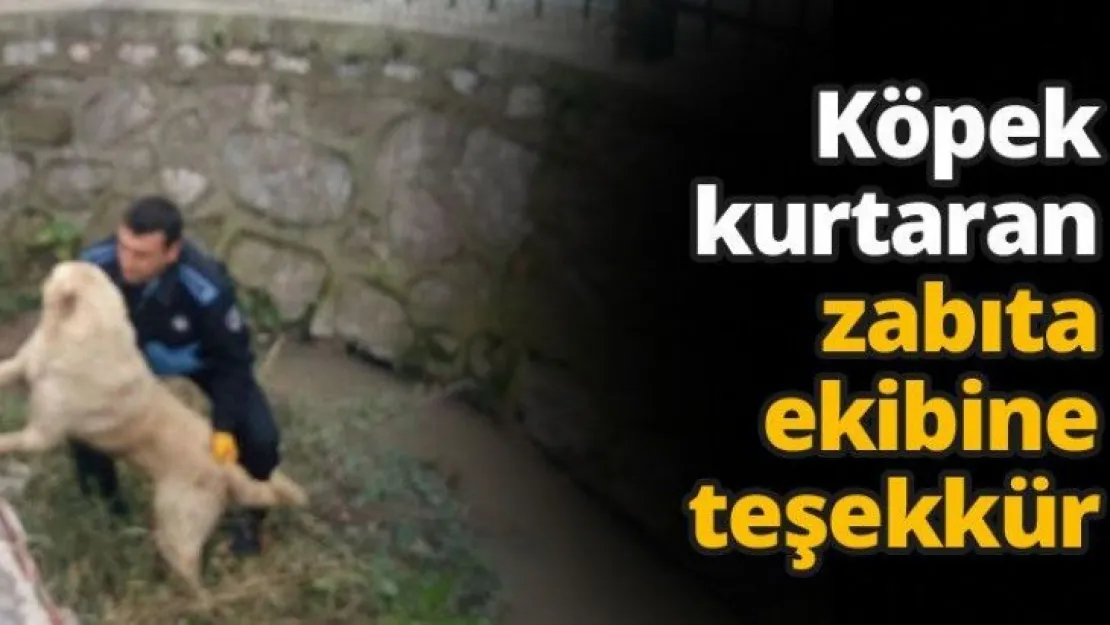 Köpek kurtaran zabıta ekibine teşekkür