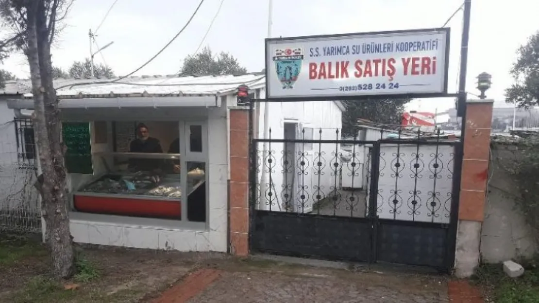 Körfez taze balık yiyecek