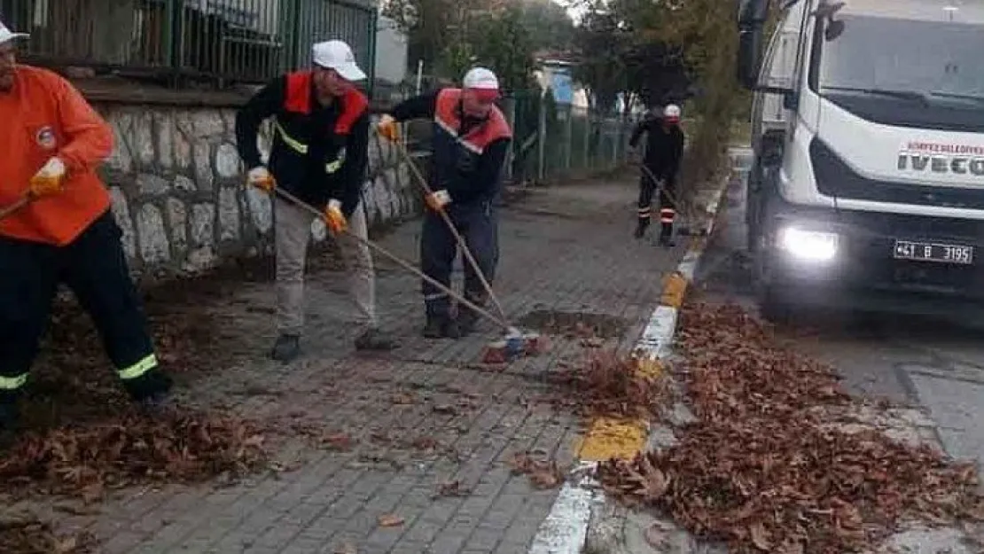Körfez'de sonbahar temizliği