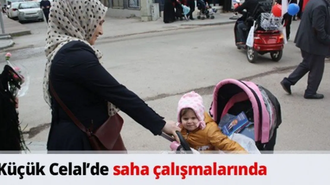 Küçük Celal'de saha çalışmalarında