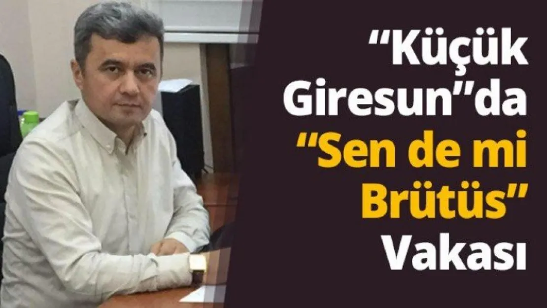 'Küçük Giresun'da 'Sen de mi Brütüs' Vakası