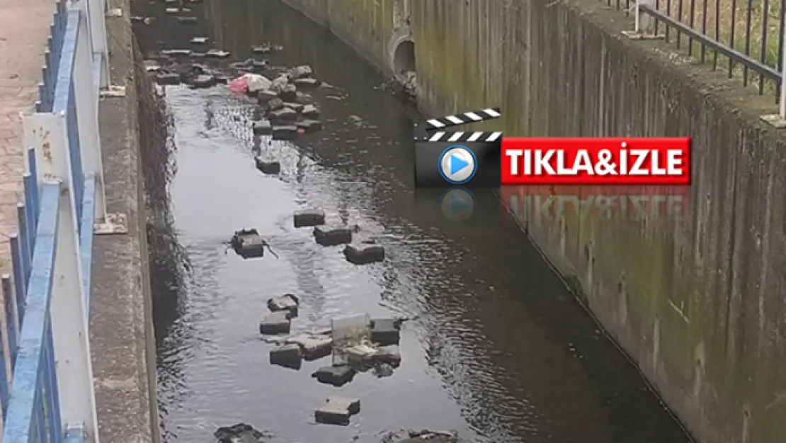Kule Deresi pislik içinde!