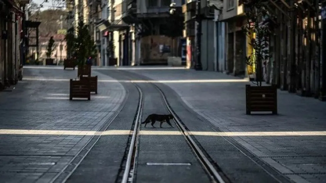 Kurban Bayramı'nda kısıtlama uyarısı!