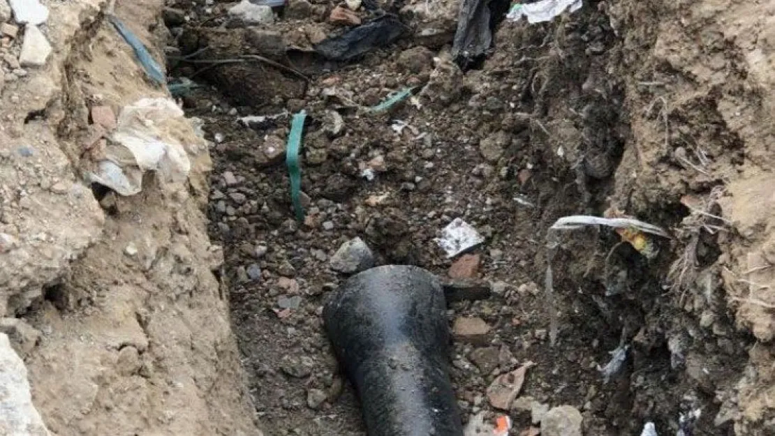 'Kurban pazarı halk sağlığını tehdit ediyor'