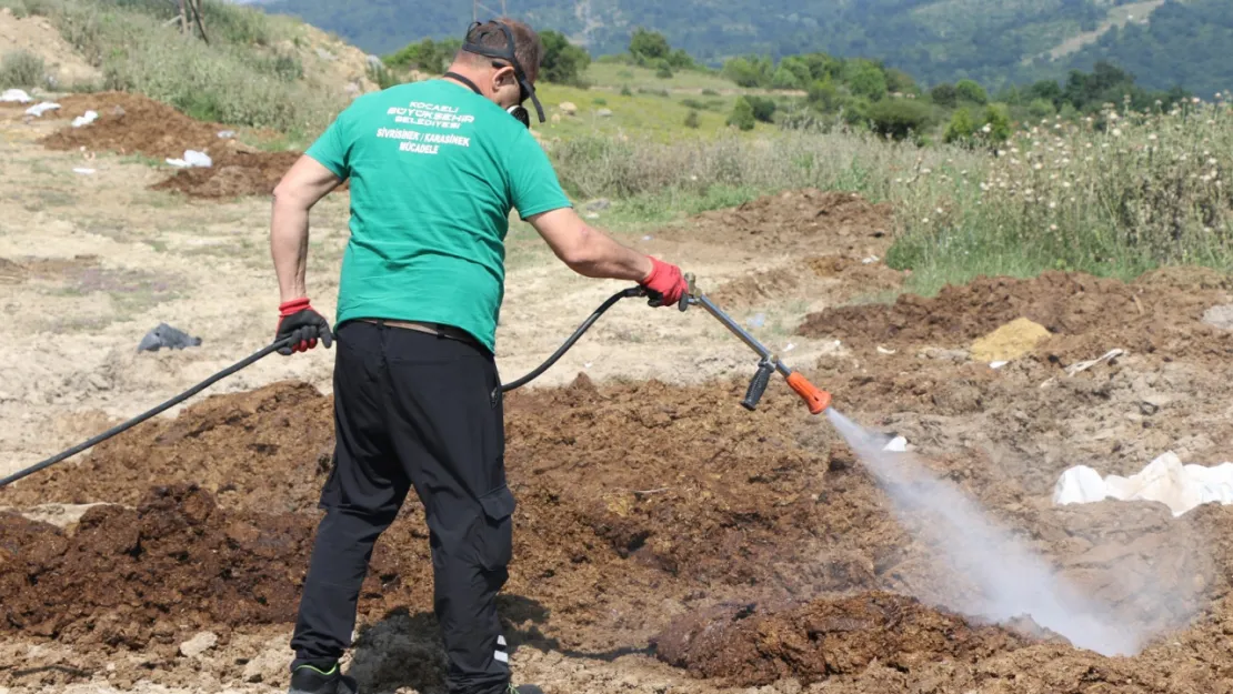 Kurbanlık alanlar ilaçlanıyor