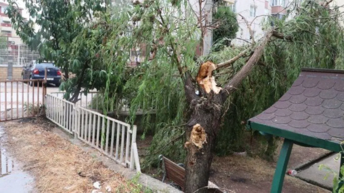 Kuvvetli rüzgar ağaçları devirdi, yollar göle döndü