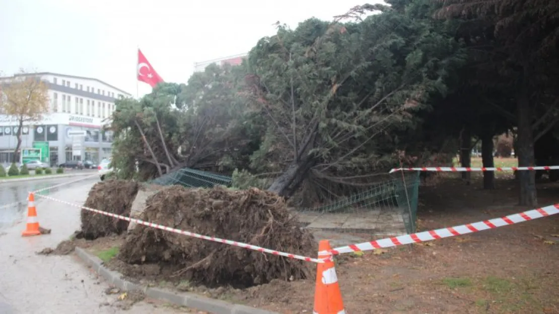 Lodos şehri birbirine kattı