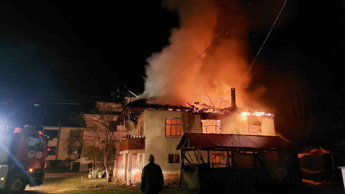 Sakarya'da iki katlı ev alev topuna döndü