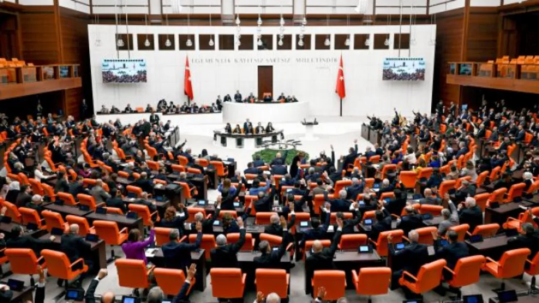 Meclis çocuk istismarını araştıracak
