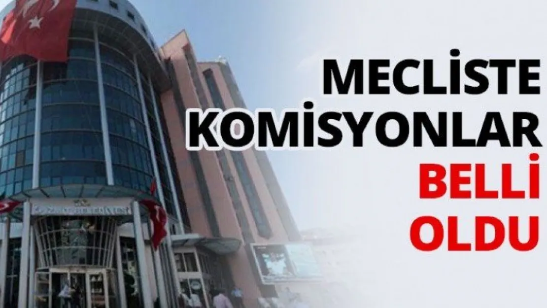 Mecliste komisyonlar belli oldu