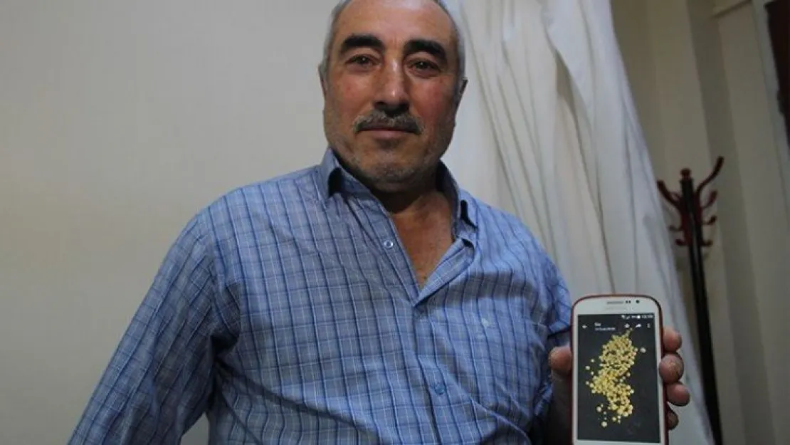 Mesanesinden 199 adet taş çıktı!