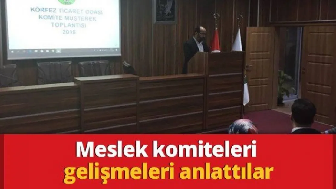 Meslek komiteleri gelişmeleri anlattılar