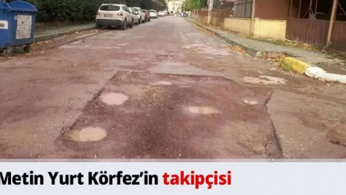 Metin Yurt Körfezin takipçisi