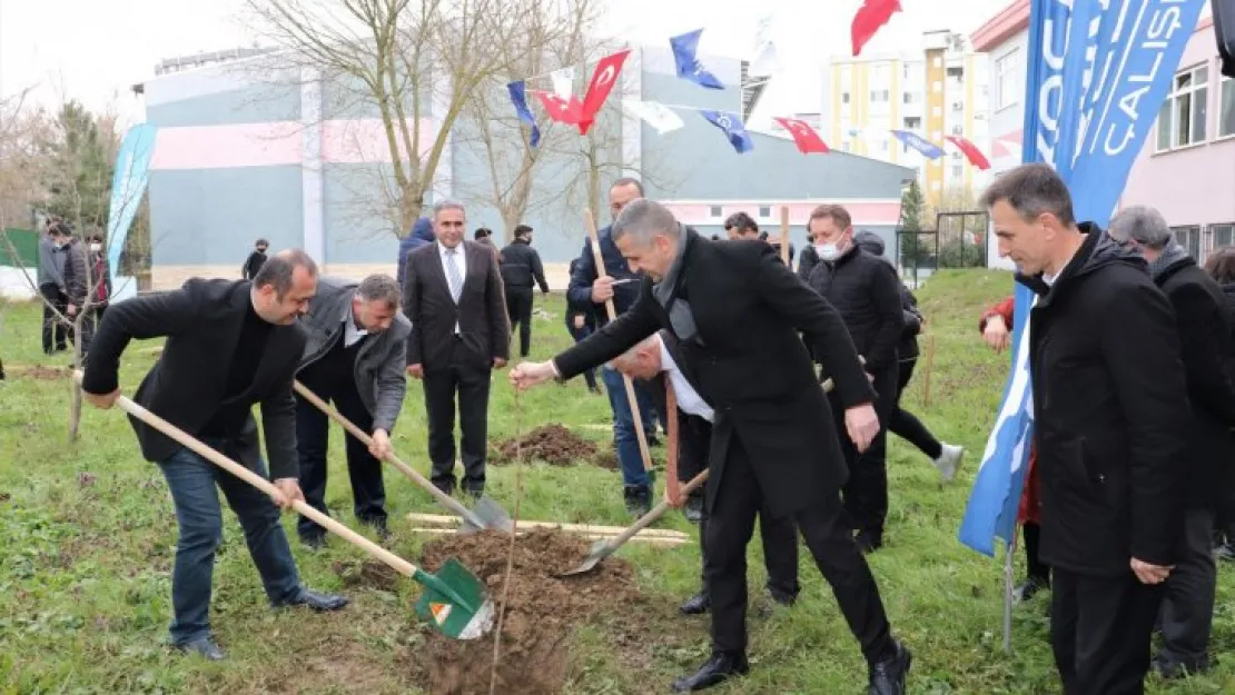 Meyve fidanları toprakla buluşuyor