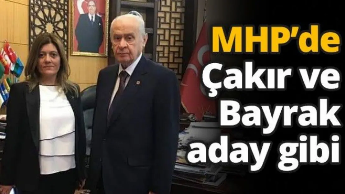 MHP'de Çakır ve Bayrak aday gibi