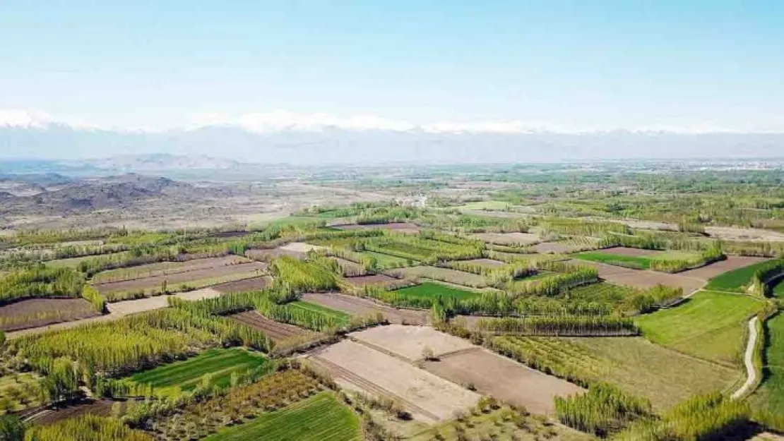 Milyonluk iki arazi satışa çıkarıldı