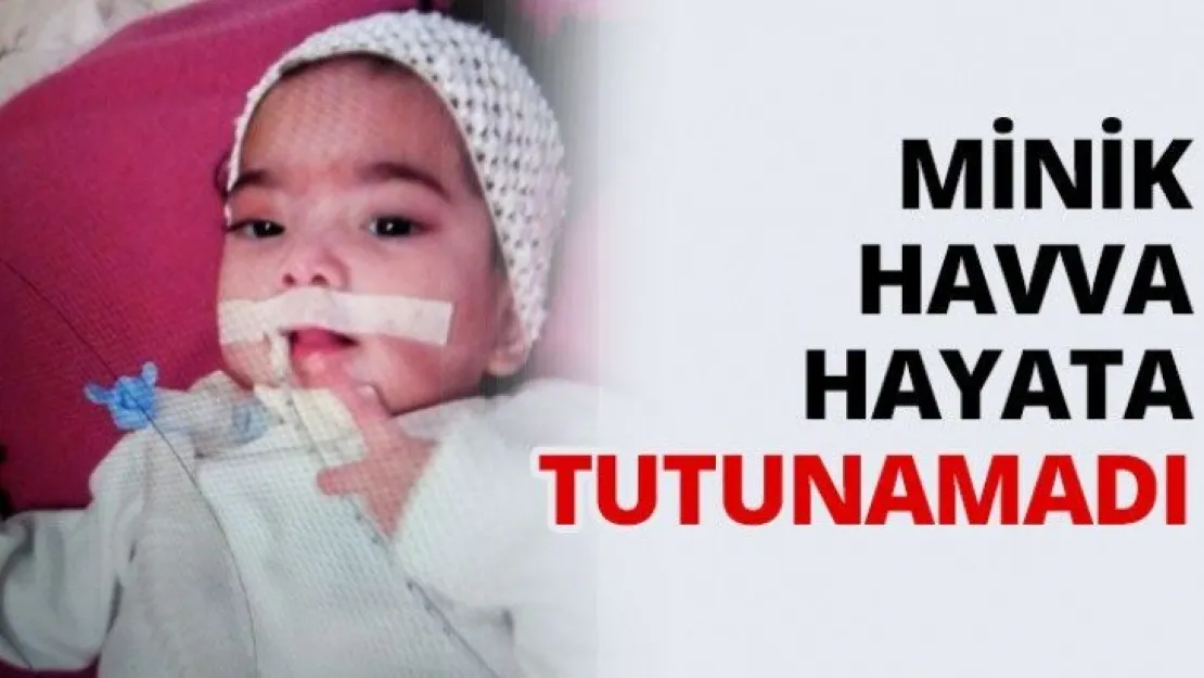 Minik Havva hayata tutunamadı
