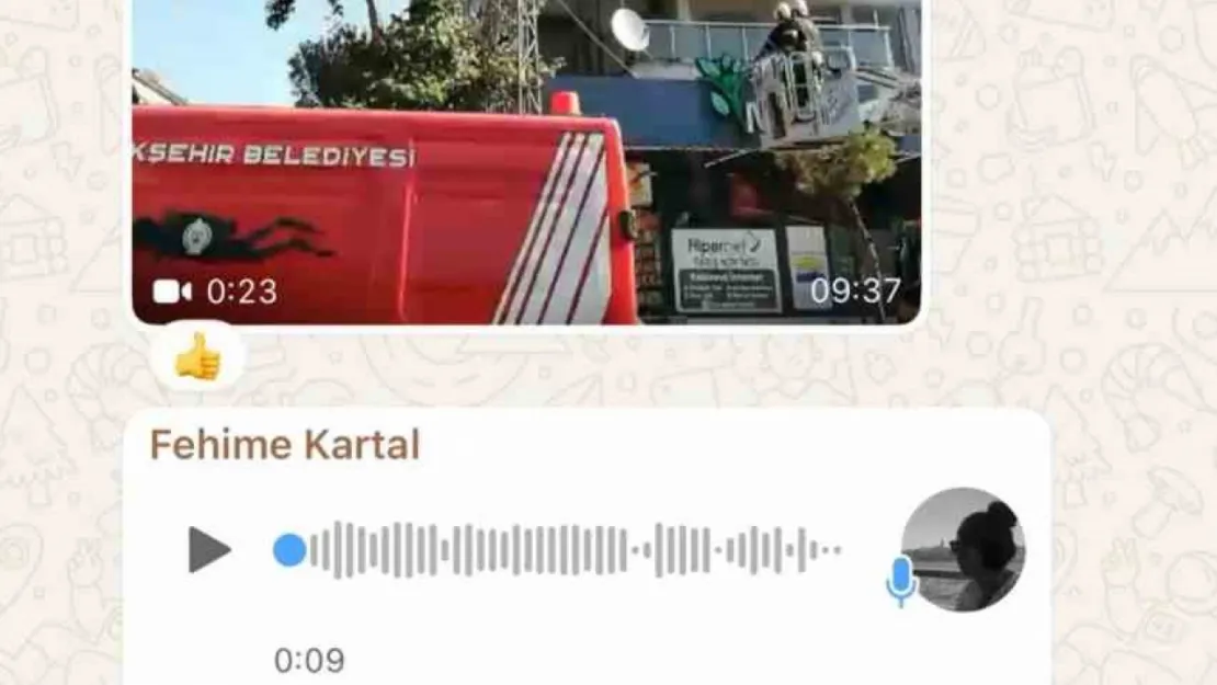 Muhabirin telefonunu gasp edip, mesaj attılar
