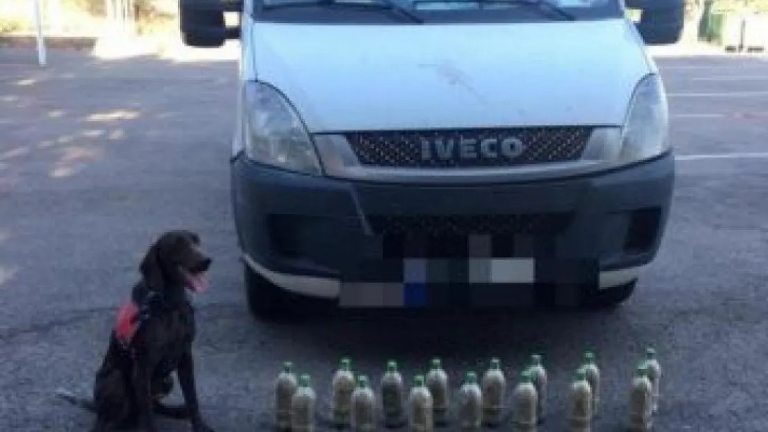 Narkotik köpeği ile 150 bin liralık esrar bulundu!