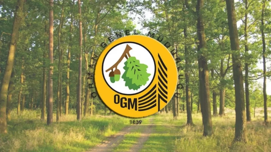 OGM 338 personel alacak!