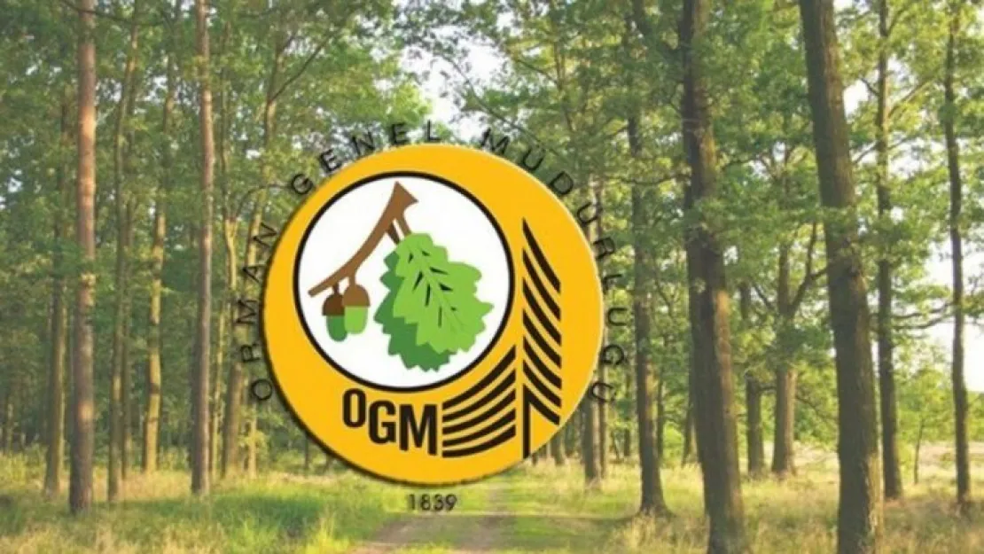 OGM, Kocaeli için 64 işçi alacak!