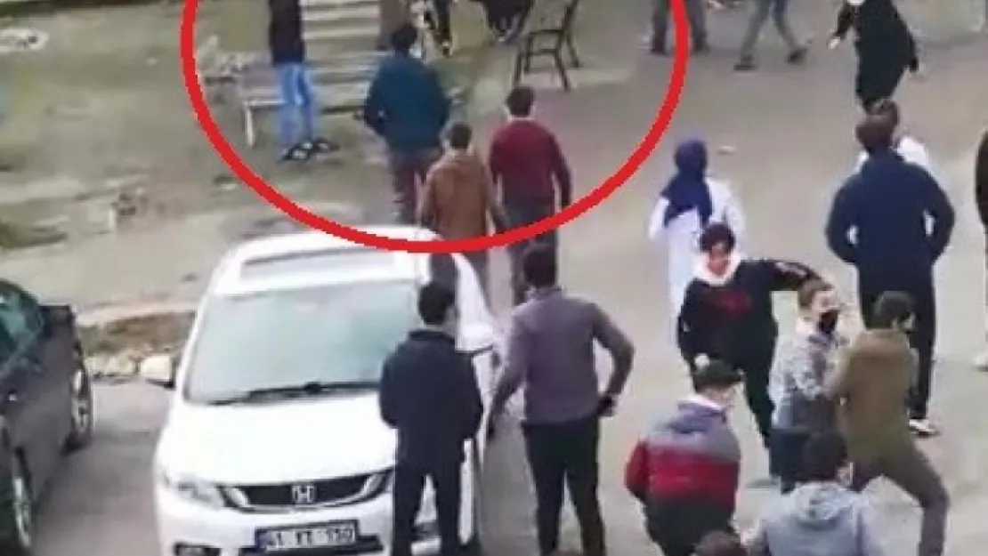 Okula dalan pitbull öğrencilere dehşeti yaşattı