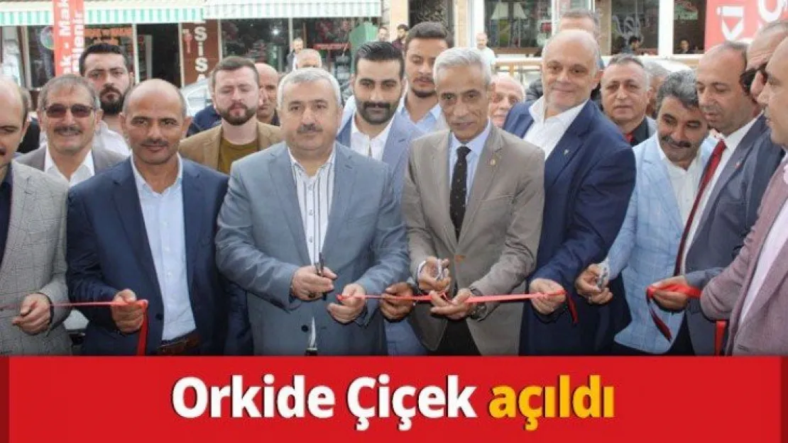 Orkide Çiçek açıldı