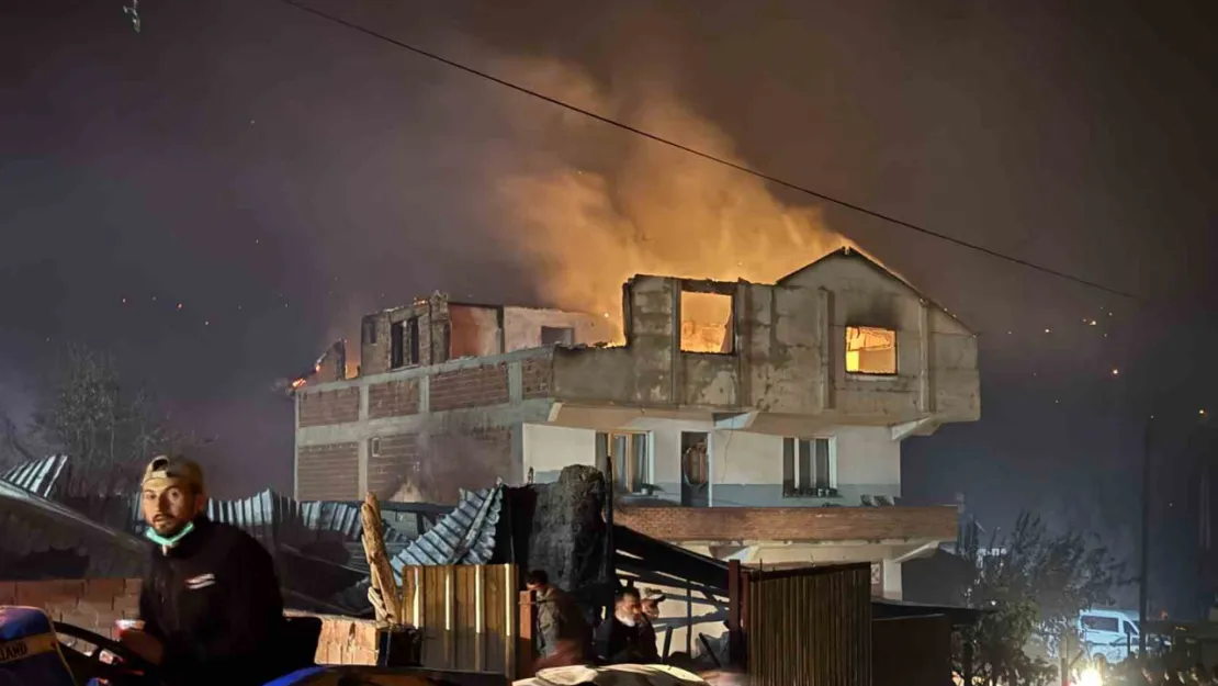 Sakarya'daki orman yangında 3 ev kül oldu