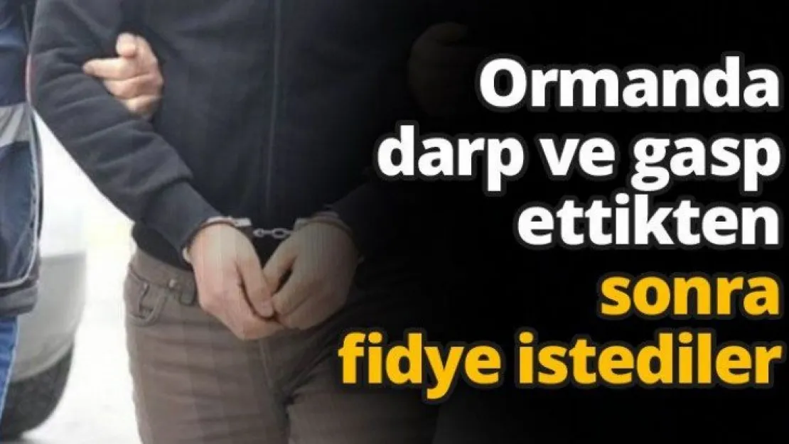 Ormanda darp ve gasp ettikten sonra fidye istediler
