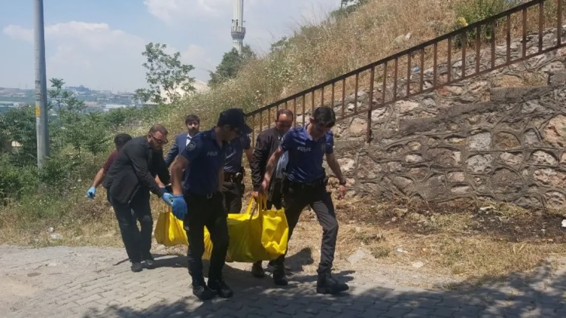 Ormanlık alanda çocuk cesedi bulundu