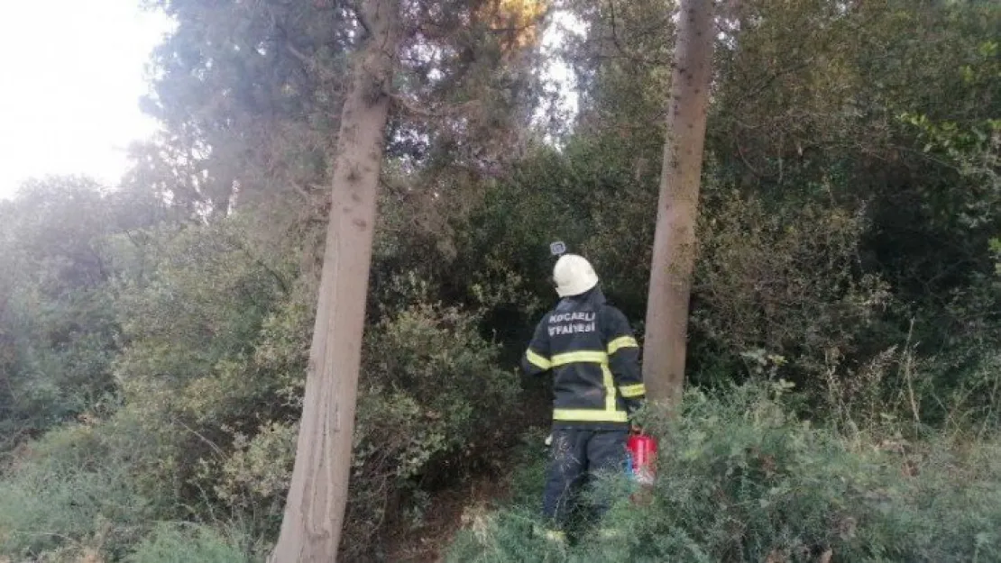 Ormanlık alanda yeniden çıkan yangını muhtar söndürdü!