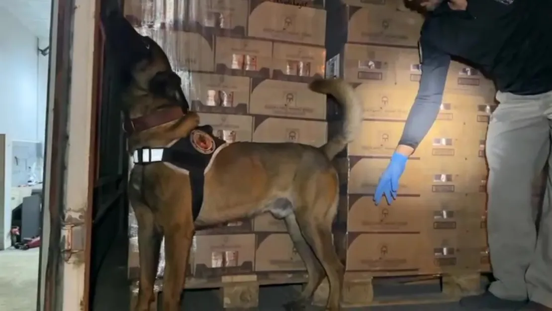 Osmangazi Köprüsü girişinde 9 kilo kokain maddesi ele geçirildi