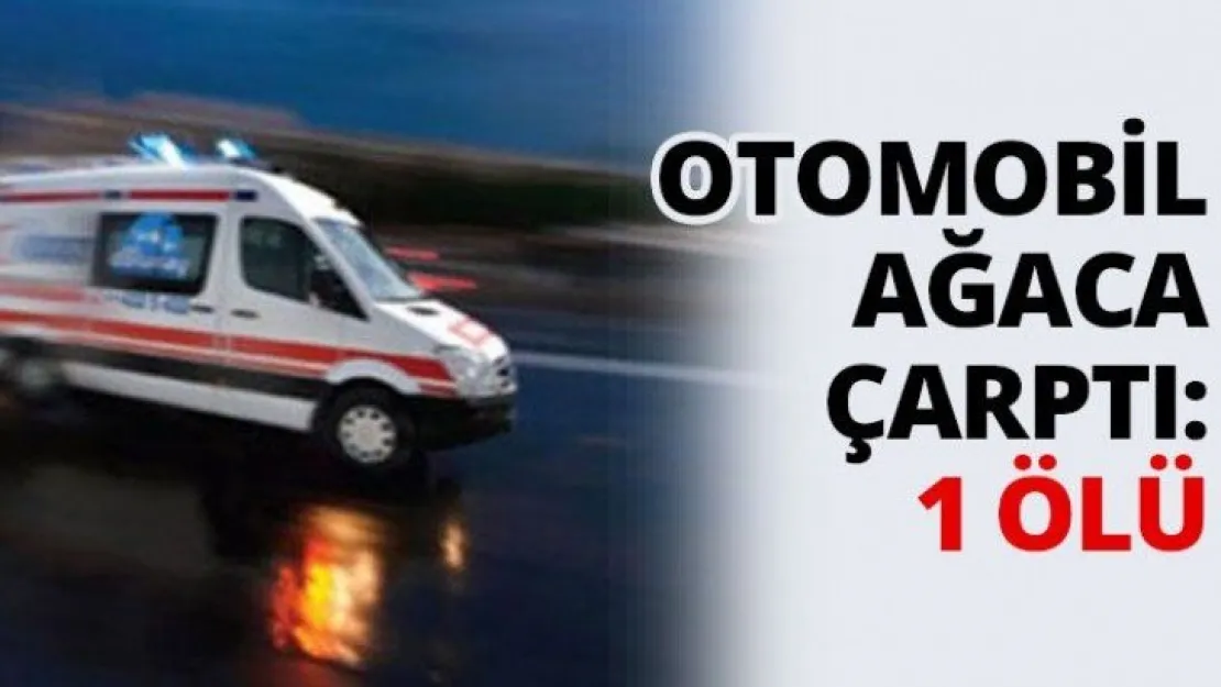Otomobil ağaca çarptı: 1 ölü