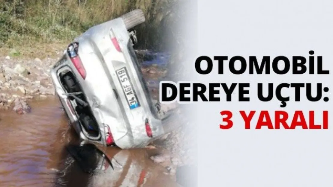 Otomobil dereye uçtu: 3 yaralı