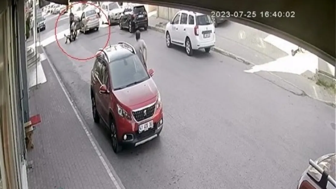 Otomobilin önünü kesip bekçiyi darp ettiler