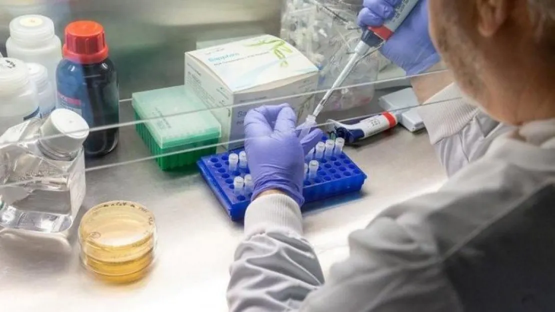 Oxford Üniversitesi korona virüse iyi gelen bir ilaç buldu