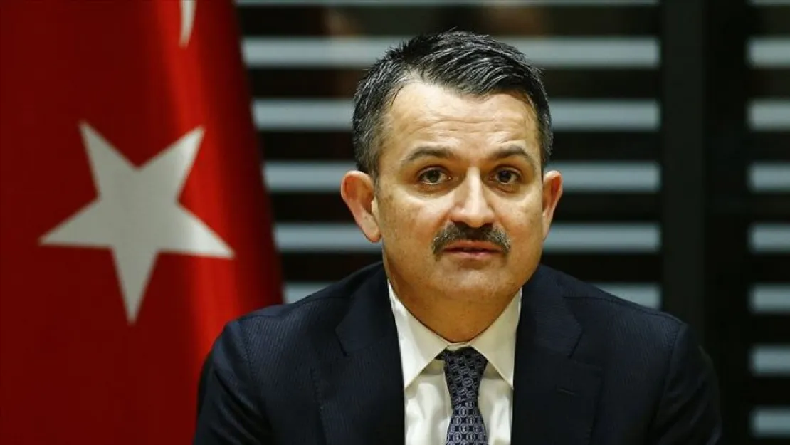 Pakdemirli: Çiftçilere 2.6 milyar lira ödemeye başlıyoruz