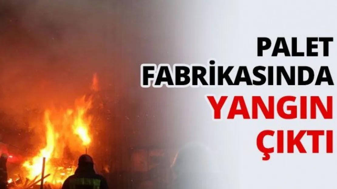 Palet fabrikasında yangın çıktı