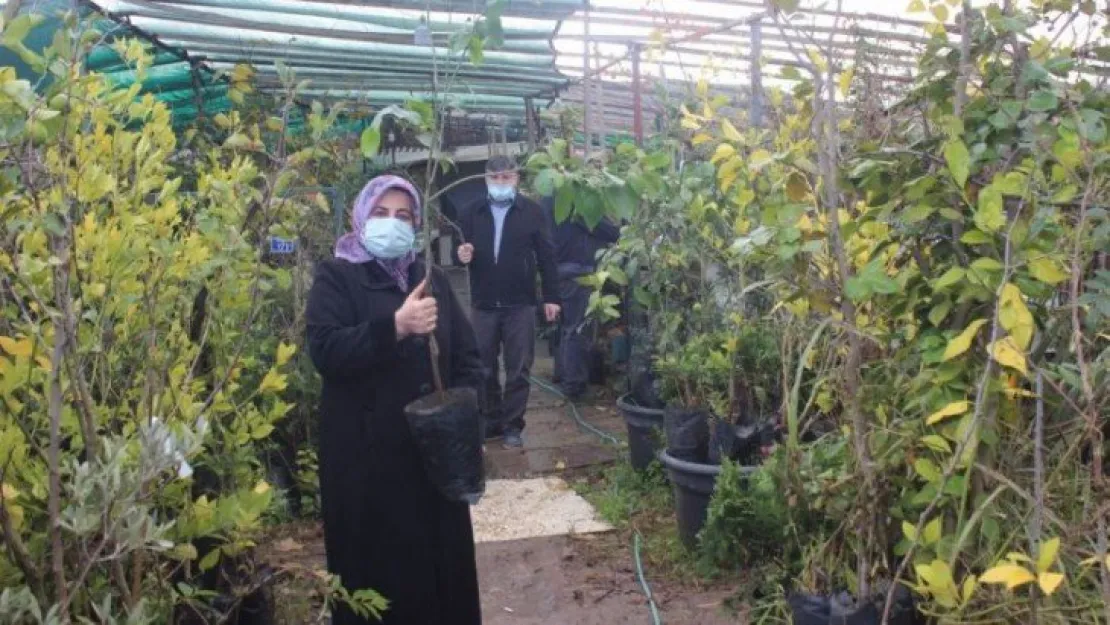 Pandemi süreci fidan satışlarını patlattı 